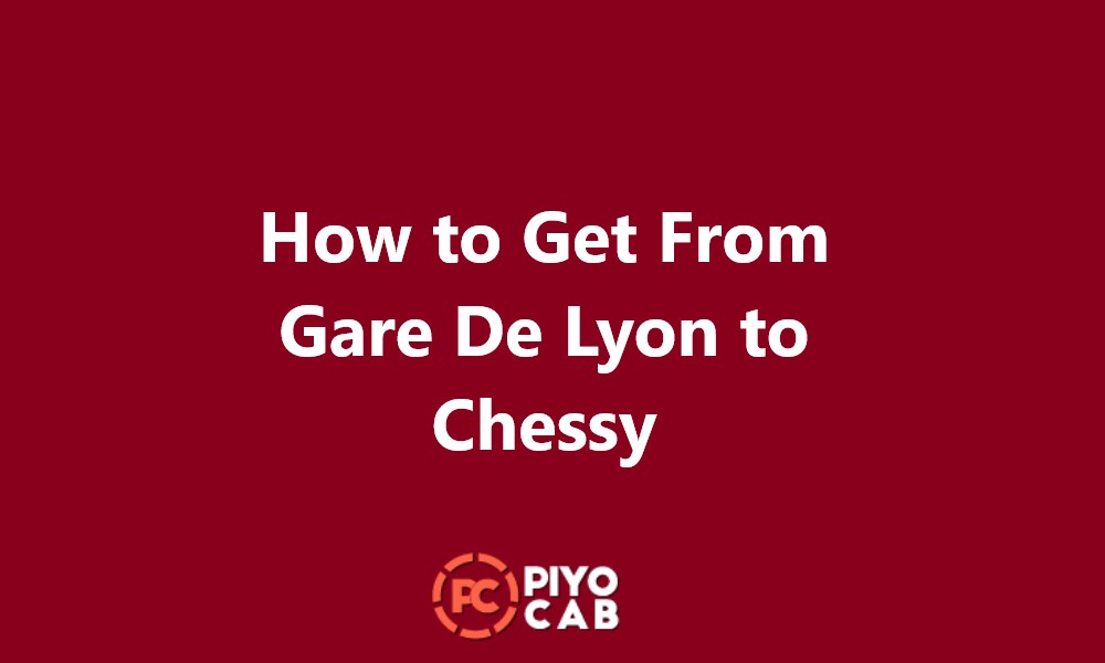 Gare De Lyon to Chessy